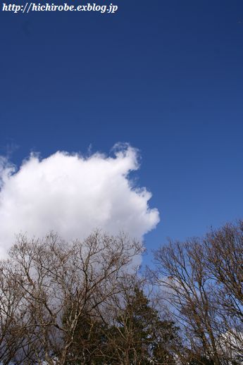 f0039446_1646268.jpg