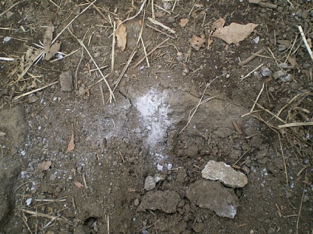 c0042847_20583340.jpg