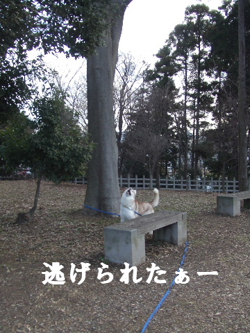 e0121548_20395880.jpg