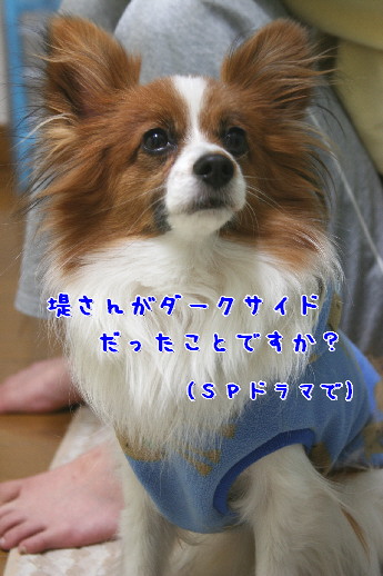 d0013149_92143.jpg