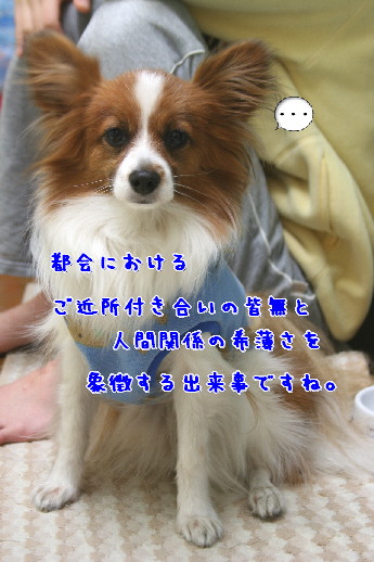 d0013149_9231530.jpg