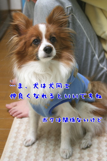 d0013149_9421357.jpg