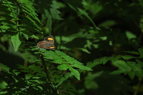 d0098057_563413.jpg
