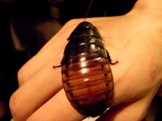 f0106557_23190100.jpg