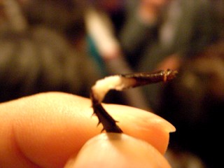 f0106557_2347227.jpg