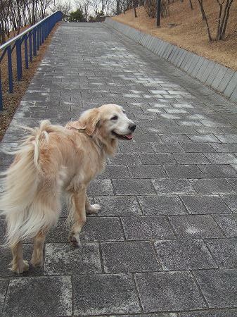 c0097558_20113165.jpg