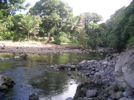 c0100661_142177.jpg