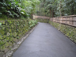 c0117570_1520221.jpg