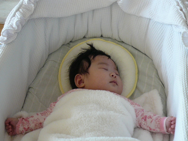 a0100975_12304332.jpg