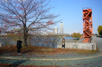 c0123679_23471831.jpg
