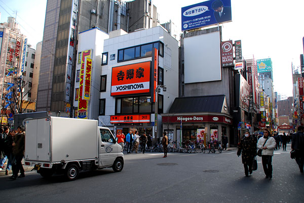 c0009981_533175.jpg
