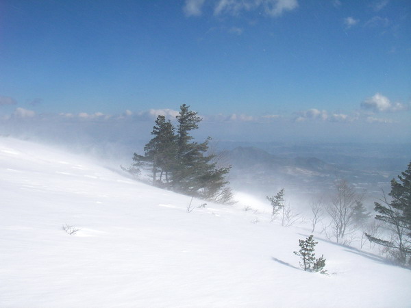a0043193_23583043.jpg