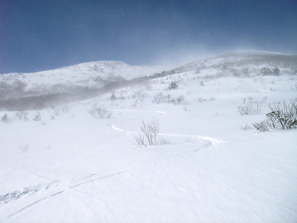a0043193_23584128.jpg
