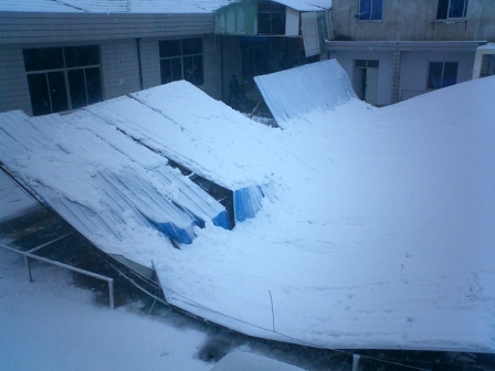 d0090300_2054873.jpg