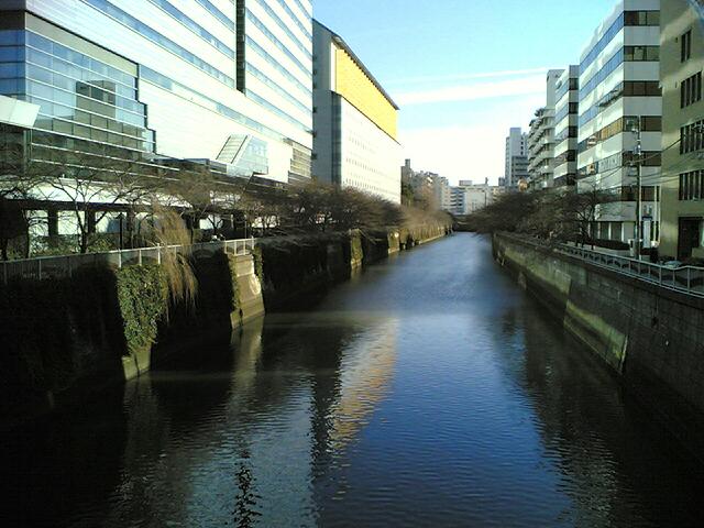 c0077105_103386.jpg