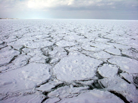 d0051707_2093135.jpg