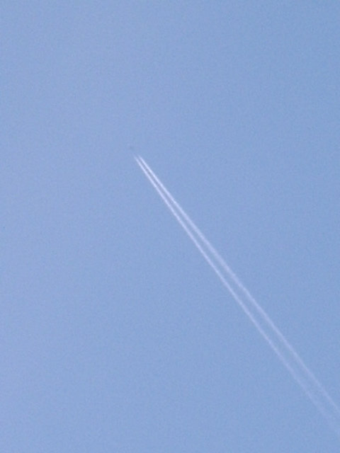 d0115609_532236.jpg