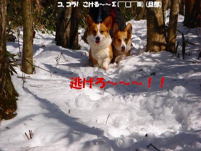 c0153410_14182723.jpg