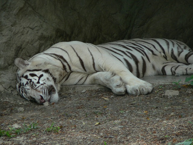 d0143110_23305797.jpg