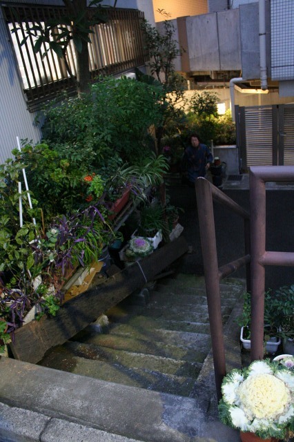 b0061717_3522688.jpg