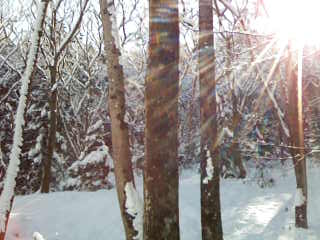 f0055322_2383398.jpg