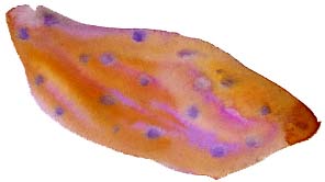 f0135024_17542472.jpg