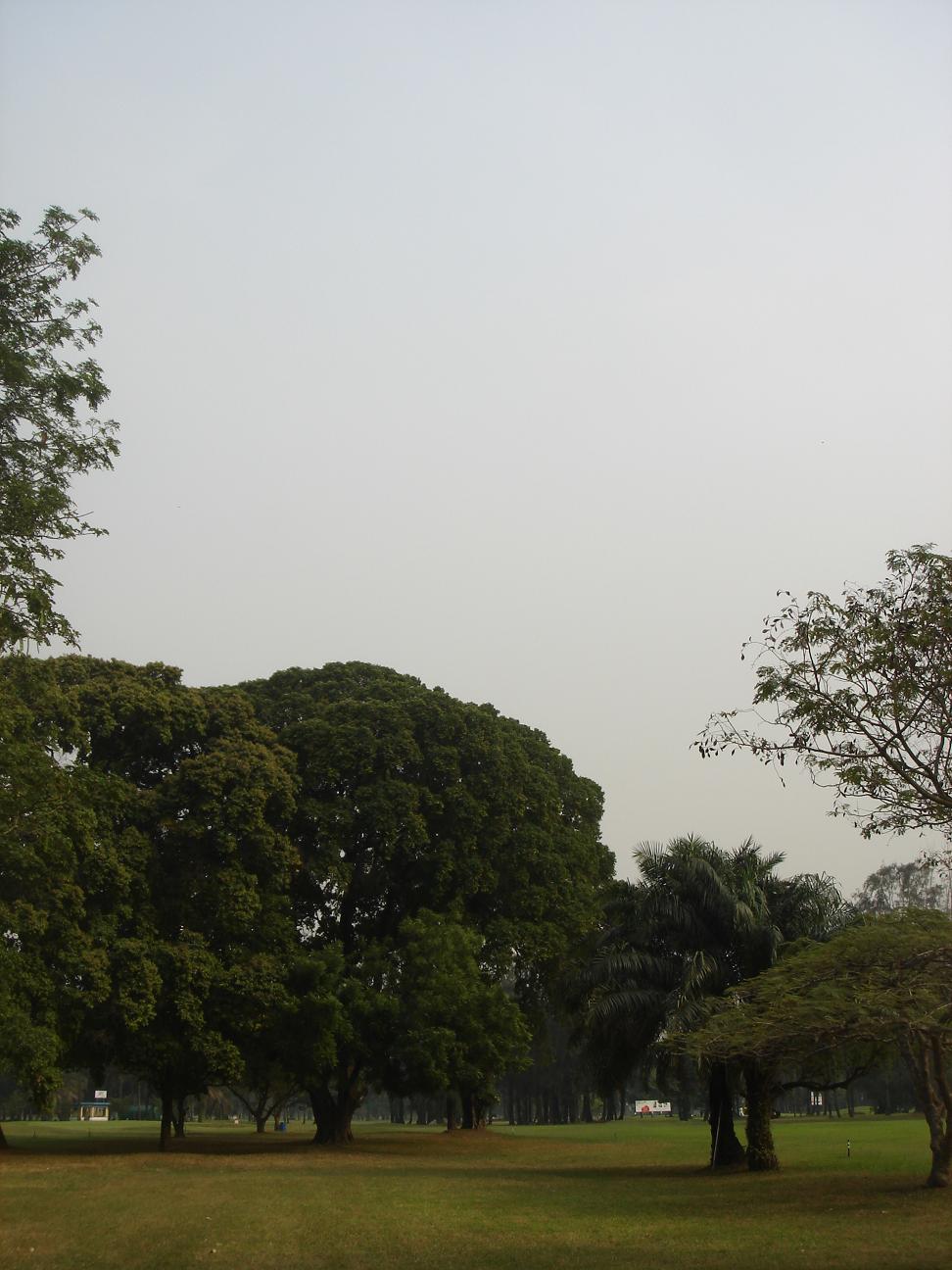 f0132327_17425118.jpg