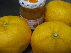 b0006329_21314372.jpg