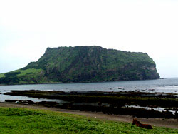 c0010833_20474053.jpg