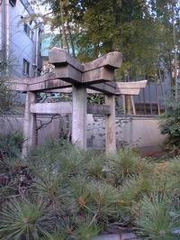 e0024736_6473924.jpg