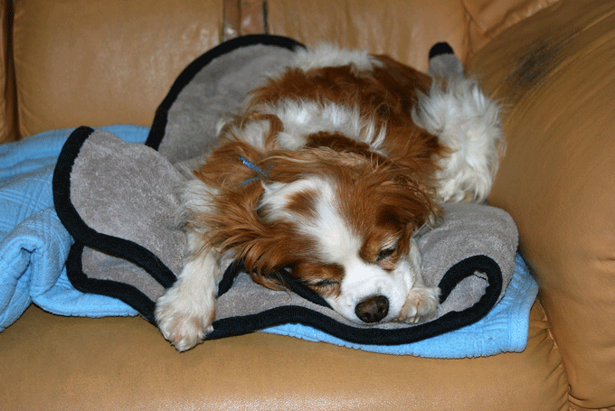 c0136838_0123154.gif