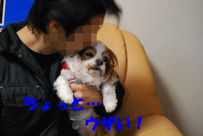 c0136838_02241.gif