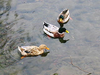 e0022839_21375567.jpg