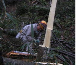 e0049740_1818342.jpg