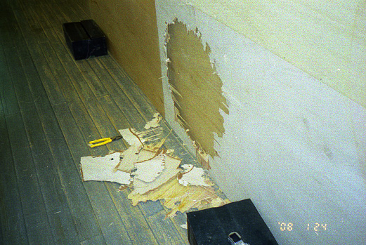 d0089742_1754246.jpg