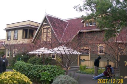 f0146342_733023.jpg