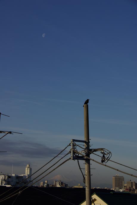 f0149442_1071051.jpg