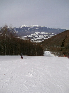 d0132743_040585.jpg