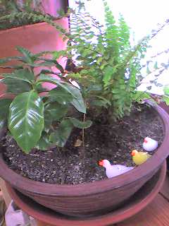 f0097045_20244112.jpg