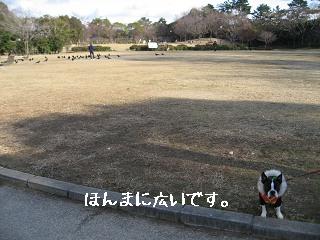 e0126046_21431754.jpg