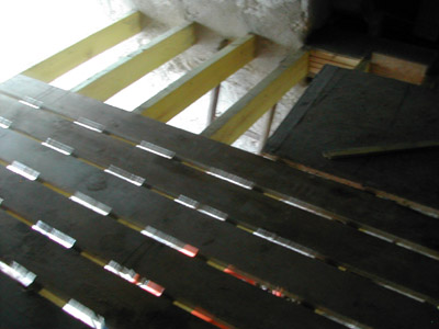 b0069848_7393499.jpg