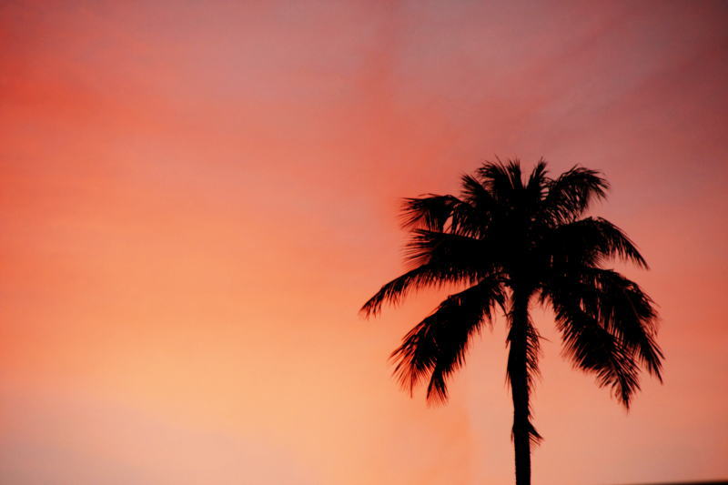 f0082348_15332630.jpg