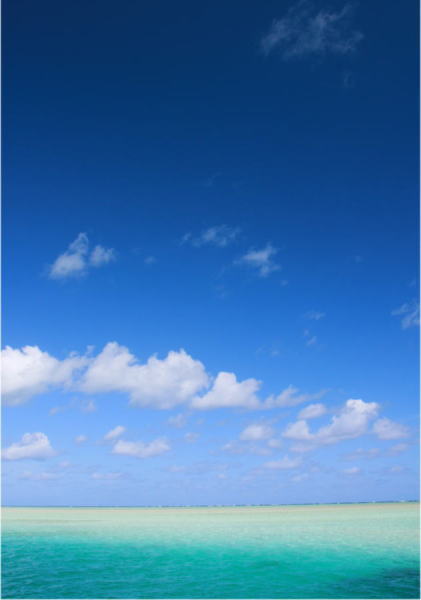 f0082348_1544065.jpg