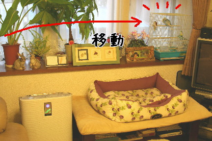 d0013149_8372368.jpg