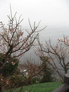 f0139253_09146.jpg