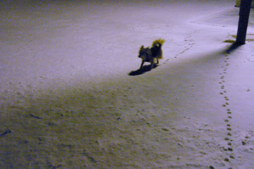 f0097456_04185.jpg