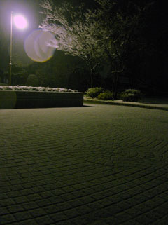 f0097456_0475149.jpg