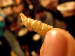 f0106557_029312.jpg