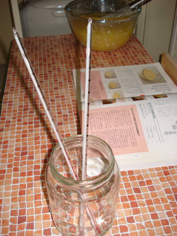e0092362_032844.jpg
