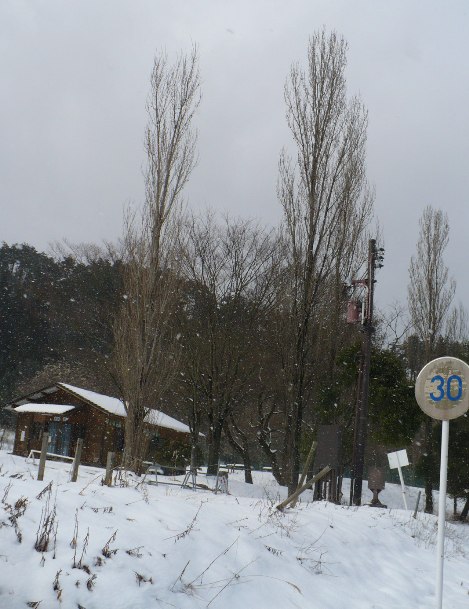 a0063364_0542933.jpg